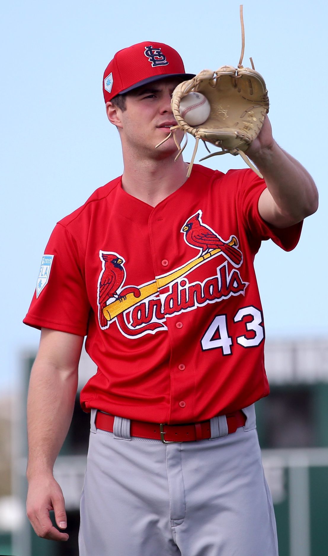Cardinals spring training continues